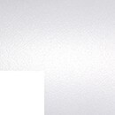 Blanco brillante 9010